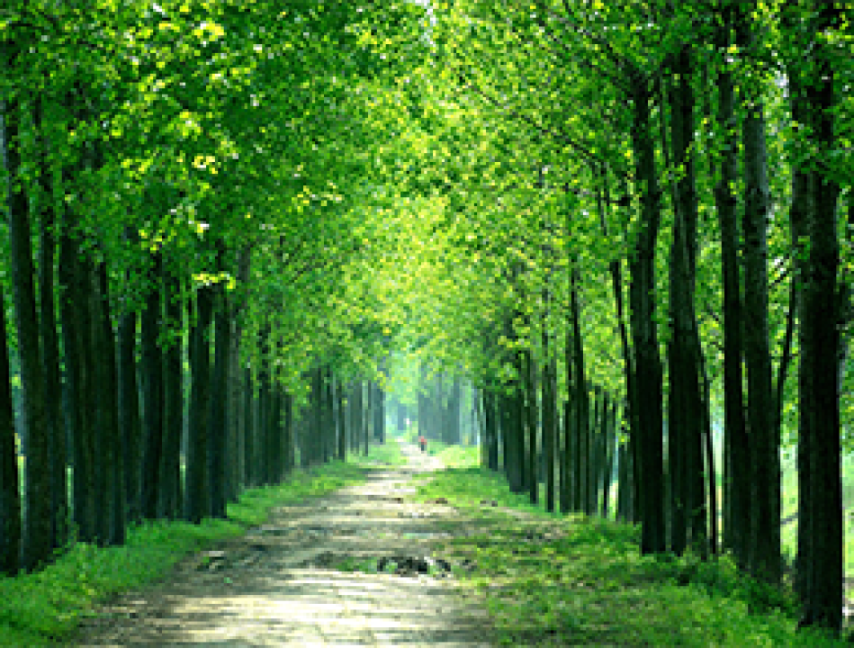 Handhaving van een Natuurschoonwet-rangschikking ter voorkoming van statusverlies