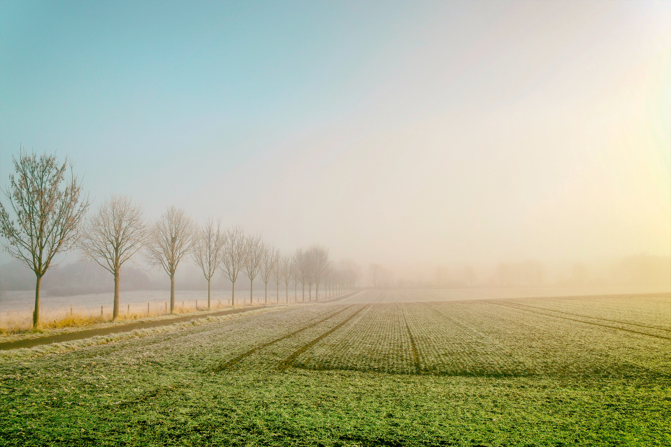 Grondspeculatie en de notaris, het vervolg