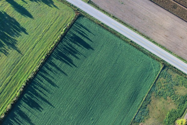 Geactualiseerd beleidsbesluit inzake kavelruilvrijstelling