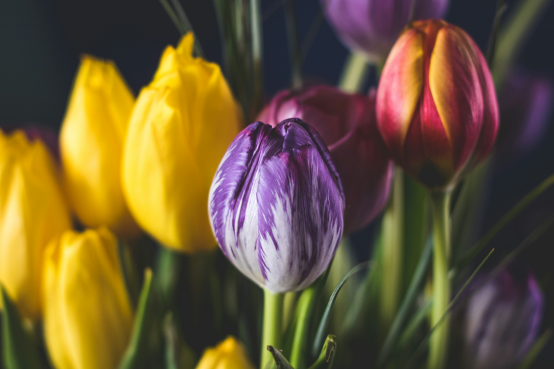 Aanpassing overzicht risicovolle branches: bloemenhandel